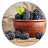 Riesen Brombeeren - Ca. 50 Samen - Gesunde & Vitaminreiche Früchte Foto, bester Preis 3,49 € neu 2024
