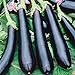 Photo Seeds Eggplant Aubergine Long Pop Black Vegetable Heirloom for Planting Non GMO