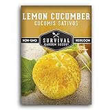 Survival Garden Seeds - Lemon Cucumber Seed for Planting - Packet with Instructions to Plant and Grow Little Yellow Cucumbers in Your Home Vegetable Garden - Non-GMO Heirloom Variety Photo, best price $4.99 new 2024