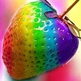 TENGGO Egrow 300 Teile/Beutel Regenbogen Erdbeere Samen Riesige Erdbeere Seltene Bonsai Bio Obst Samen Erdbeere Pflanzen für Hausgarten Foto, bester Preis 8,20 € neu 2024