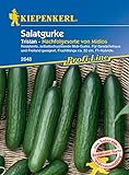 Kiepenkerl 2648 Salatgurke Tristan F1, resistente selbstbefruchtende Midi-Gurke, für Gewächshaus und Freiland geeignet, Fruchtlänge ca. 22 cm Foto, bester Preis 5,99 € neu 2024
