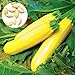 Foto 50 semillas de calabacín amarillo unids/bolsa fácil de crecer deliciosas verduras mini jardín decorar su patio Semillas de calabacín