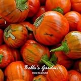 Naranja berenjena 20pcs turca Vegetable Seeds Inicio Plantas Bonsai Garden bricolaje Foto, mejor precio 14,98 € nuevo 2024