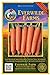 Photo Everwilde Farms - 2000 Scarlet Nantes Carrot Seeds - Gold Vault Jumbo Seed Packet