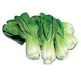 Burpee Toy Choi Cabbage Seeds 200 seeds Photo, best price $7.23 ($0.04 / Count) new 2024