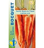 Sachet de graines de Carotte géante de Tilques - 2 g - légume racine - LES GRAINES BOCQUET Photo, meilleur prix 5,49 € (2 745,00 € / kg) nouveau 2024