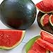 Photo Watermelon, Black Diamond, Heirloom, 50 Seeds, Super Sweet Round Melon