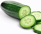 Grown in USA! 30+ Muncher Burpless Sweet Cucumber Seeds, Heirloom Non-GMO, Non-Bitter and Acid Free, Crispy and Sweet, Fragrant and Delicious, Cucumis sativus Photo, best price $2.69 ($25.43 / Ounce) new 2024