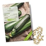 BIO Zucchini Samen (Nero di Milano) - Zucchini Saatgut aus biologischem Anbau ideal für die Anzucht im Garten, Balkon oder Terrasse Foto, bester Preis 4,90 € neu 2024