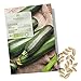 Foto BIO Zucchini Samen (Nero di Milano) - Zucchini Saatgut aus biologischem Anbau ideal für die Anzucht im Garten, Balkon oder Terrasse