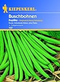 Kiepenkerl Buschbohnen 'Duplika',1 Portion Foto, bester Preis 3,21 € neu 2024