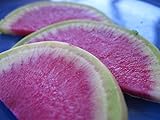 Radish Watermelon Great Heirloom Vegetable by Seed Kingdom 200 Seeds Photo, best price $1.95 ($0.01 / Count) new 2024