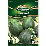 Zucchini 'Eight Ball' F1, 1 Tüte Samen Foto, bester Preis 4,27 € (0,36 € / stück) neu 2024