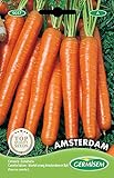 Germisem Amsterdam Semillas de Zanahoria 6 g Foto, mejor precio 2,21 € nuevo 2024