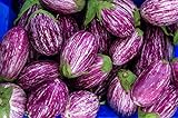 Fairy Tale F1 Eggplant Seeds - Non-GMO - 10 Seeds Photo, best price $6.99 new 2024