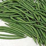 Burpee Stringless Green Bush Bean - 25 Count Seed Pack - Non-GMO - A Culinary Star, pods are Delicious in Many Foods. - Country Creek LLC Photo, best price $1.99 new 2024