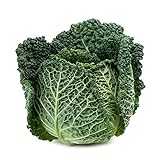 Savoy Perfection Cabbage Seeds - 50 Count Seed Pack - Non-GMO - A Unique Hardy Crop with a Sweet and Delicate Flavor That Makes an Excellent Addition to Many Dishes. - Country Creek LLC Photo, best price $2.29 ($0.05 / Count) new 2024