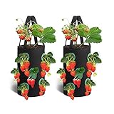 Erdbeere Pflanzsack, 2 Pack Pflanzen Tasche Grow Tasche Pflanzbeutel mit Griffe,Hängend Erdbeeren Pflanztaschen für Erdbeeren, Kräuter, Blumen (Schwarz) Foto, bester Preis 12,99 € neu 2024