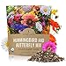 Photo Wildflower Seeds Butterfly and Humming Bird Mix - Large 1 Ounce Packet 7,500+ Seeds - 23 Open Pollinated Annual and Perennial Species