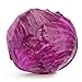 Photo Red Acre Cabbage Seeds, 250 Heirloom Seeds Per Packet, Non GMO Seeds, Botanical Name: Brassica oleracea VAR. capitata f. rubra, Isla's Garden Seeds