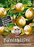 80680 Sperli Premium Birnenmelone Samen | Melonenbirne Samen | Pepino Samen | Pepino Melonenbirne Samen | Birnenmelone Pflanze | Melonenbirne Pflanze Foto, bester Preis 6,77 € neu 2024