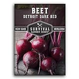 Survival Garden Seeds - Detroit Dark Red Beet Seed for Planting - Packet with Instructions to Plant and Grow Delicious Root Vegetables in Your Home Vegetable Garden - Non-GMO Heirloom Variety Photo, best price $4.99 new 2024