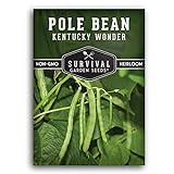 Survival Garden Seeds - Kentucky Wonder Pole Bean Seed for Planting - Packet with Instructions to Plant and Grow Delicious Snap Beans in Your Home Vegetable Garden - Non-GMO Heirloom Variety Photo, best price $5.49 new 2024