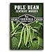 Photo Survival Garden Seeds - Kentucky Wonder Pole Bean Seed for Planting - Packet with Instructions to Plant and Grow Delicious Snap Beans in Your Home Vegetable Garden - Non-GMO Heirloom Variety