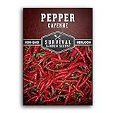 Survival Garden Seeds - Red Cayenne Pepper Seed for Planting - Packet with Instructions to Plant and Grow Hot Chili Peppers in Your Home Vegetable Garden - Non-GMO Heirloom Variety - Single Pack Photo, best price $4.99 new 2024