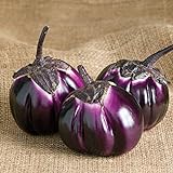David's Garden Seeds Eggplant Barbarella (Purple) 25 Non-GMO, Hybrid Seeds Photo, best price $3.45 new 2024