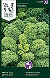 Grünkohl Samen Half Tall - Nelson Garden Gemüse Saatgut - Grünkohlsamen (425 Stück) (Einzelpackung)(Grünkohl Samen Half Tall) Foto, bester Preis 3,95 € neu 2024