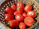 75+ Roma VFN- Heirloom Tomato Seeds Photo, best price $3.89 new 2024