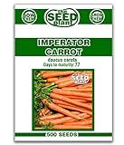 Imperator Carrot Seeds - 500 Seeds Non-GMO Photo, best price $1.59 new 2024