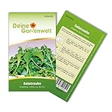 Salatrauke Einjährig Samen - Eruca sativa - Salatraukesamen - Gemüsesamen - Saatgut für 200 Pflanzen Foto, bester Preis 1,99 € (0,01 € / stück) neu 2024