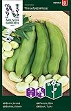 Ackerbohnen Samen für Gemüsegarten - Nelson Garden Saatgut Dicke Bohnen (40 Stück) (Bohne, Acker, Einzelpackung) Foto, bester Preis 3,45 € neu 2024
