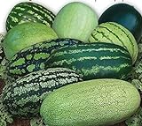 CEMEHA SEEDS - Watermelon Alibaba Giant Mix Non GMO Fruits for Planting Photo, best price $6.95 ($0.23 / Count) new 2024