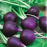 Seeds Radish Purple Rare 20 Days Vegetable for Planting Non GMO Photo, best price $8.99 new 2024