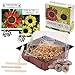Foto Set de cultivo de girasoles - juego de plantación de mini-invernadero, semillas y tierra - idea de regalo (Eclipse + Amarillo lima)