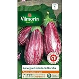 Vilmorin - Sachet graines Aubergine Listada de Gandia Photo, meilleur prix 5,67 € nouveau 2024