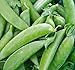 Photo Pea Seed, Sugar Snap Pea, Heirloom, Non GMO, 20 Seeds, Perfect Peas, Country Creek Acres
