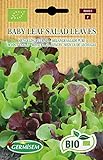 Germisem Orgánica Baby Leaf Salad Leaves Semillas de Lechuga 2 g Foto, mejor precio 3,99 € nuevo 2024