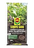 COMPO SANA Grünpflanzen- und Palmenerde mit 12 Wochen Dünger für alle Zimmer- und Balkonpflanzen sowie Palmen und Farne, Kultursubstrat, 20 Liter Foto, bester Preis 14,46 € (0,72 € / l) neu 2024