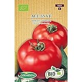 Germisem Orgánica ACE 55 VF Semillas de Tomate 0.5 g (ECBIO8019) Foto, mejor precio 3,99 € nuevo 2024