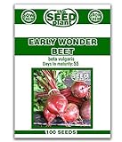 Early Wonder Beet Seeds - 100 Seeds Non-GMO Photo, best price $1.79 ($0.02 / Count) new 2024