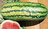 25 Garrisonian Watermelon Seeds | Non-GMO | Heirloom | Instant Latch Fresh Garden Seeds Photo, best price $5.95 new 2024