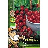 Semillas ecológicas de Tomate Red Cherry Foto, mejor precio 4,42 € nuevo 2024