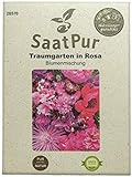 SaatPur Sommerblumenmischung Traumgarten in Rosa Samen Saatgut Blumenmischung Mix Foto, bester Preis 3,99 € neu 2024