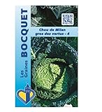 Sachet de graines de Chou de Milan gros des vertus-4 - 3 g - légume feuille - LES GRAINES BOCQUET Photo, meilleur prix 3,99 € (1 330,00 € / kg) nouveau 2024