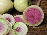 250+ Radish Seeds- Watermelon- Heirloom Variety by Ohio Heirloom Seeds Photo, best price $3.99 new 2024