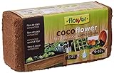 Flower 80070 - Coco, 9 l Foto, mejor precio 2,95 € nuevo 2024